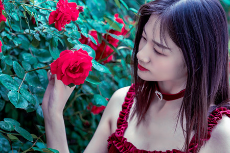 江苏省太仓市委书记汪香元接受审查调查